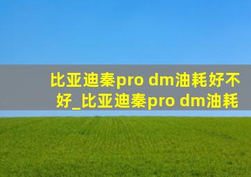 比亚迪秦pro dm油耗好不好_比亚迪秦pro dm油耗